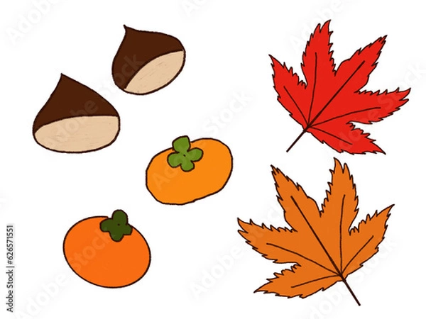 Fototapeta 秋のイラスト