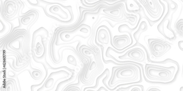 Fototapeta Abstract wavy line 3d paper cut white background. Topographic canyon geometric map relief texture with curved layers and shadow. Abstract realistic papercut decoration textured with wavy layers	
