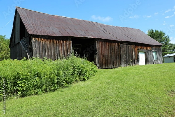 Fototapeta barn