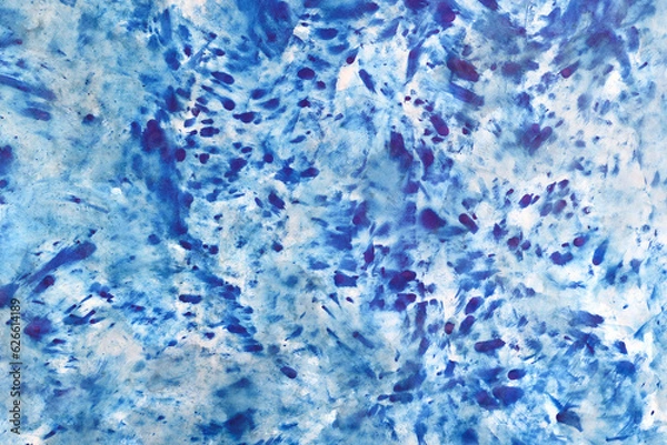 Fototapeta Acquerello su carta bianca, macchie di colore in varie tonalità di azzurro e blu