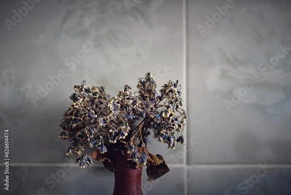 Obraz Dry blue and white violet flowers in earthenware vase
