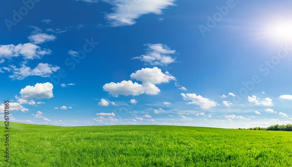 Fototapeta Panoramic natural landscape with green grass field meadow and blue sky with clouds, bright sun and horizon line. Panorama summer spring grassland in sunny day.