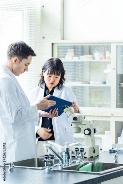 Fototapeta 研究室で会話する多国籍グループ