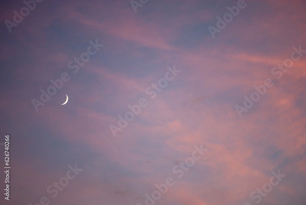 Fototapeta moon in the sky with pink clouds.