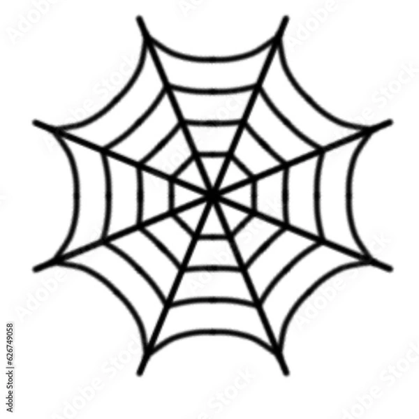 Obraz spider web