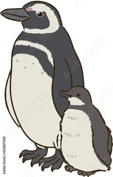 Obraz マゼランペンギンの親子