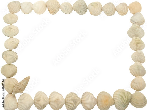 Obraz Photo a framework from sea shell 