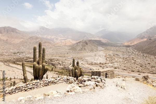 Obraz Cactus Landscape