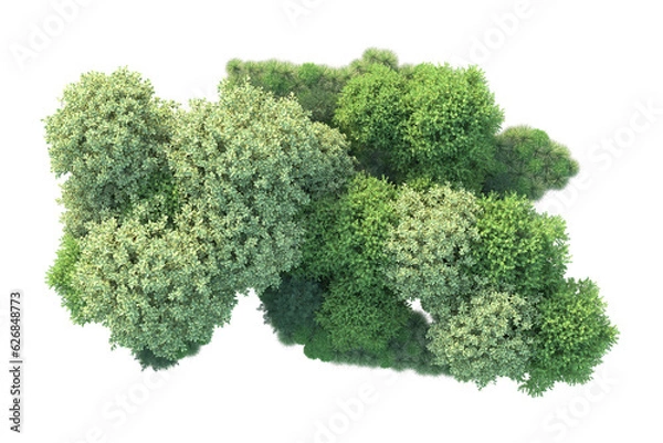 Fototapeta Green landscape isolated on transparent background. 3d rendering - illustration