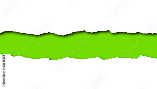 Obraz Torn paper with green space for text isolated