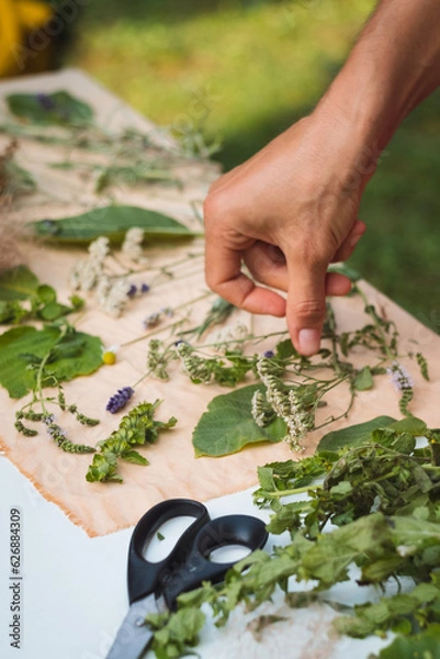 Fototapeta Eco-printing is a technique where plants, leaves and flowers leave their shapes, color, and marks on fabric