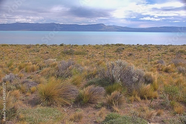 Obraz landscape with field