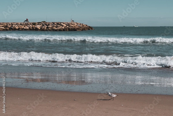 Fototapeta Seabird in beach