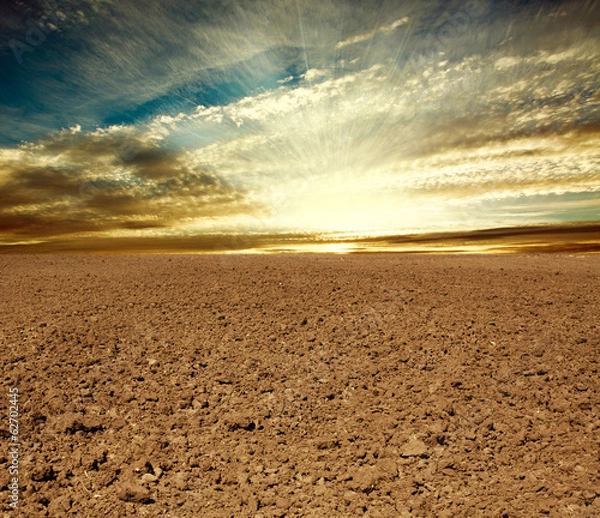 Fototapeta Ploughed farmland field on the background of sunset sky