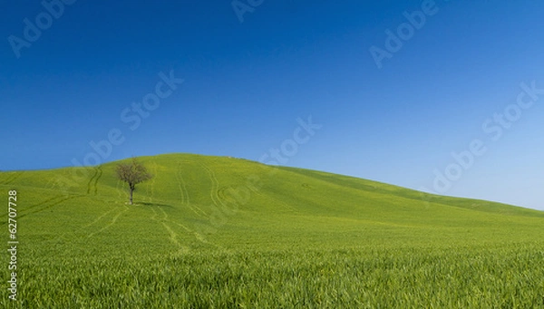 Obraz blu sky and green in Umbra, Toscana