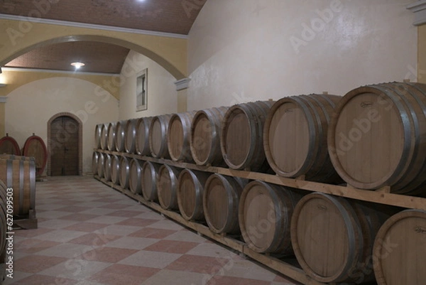 Obraz wine barrels in cellar