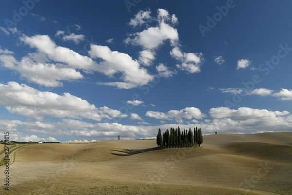 Obraz Tuscany view 