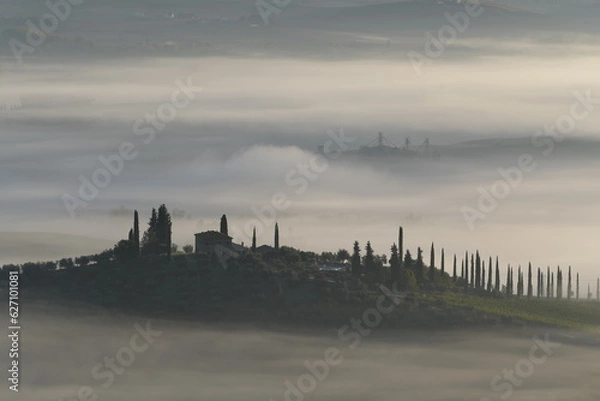 Obraz morning in the fog