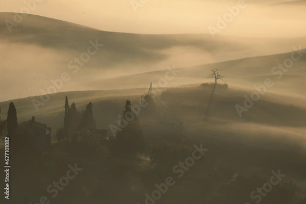 Obraz misty morning in the mountains