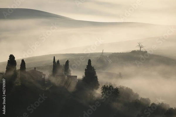 Obraz fog in the Tuscany