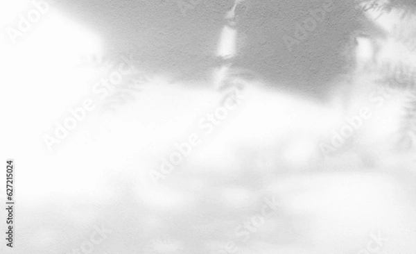 Fototapeta Background Light Shadow on blur Wall, Abstract White Overlay Leaf Nature Grey Template Product from Window House, Sunlight Minimal Photography Mockup Template  Backdrop, blur Cement Marble Stone Gray.