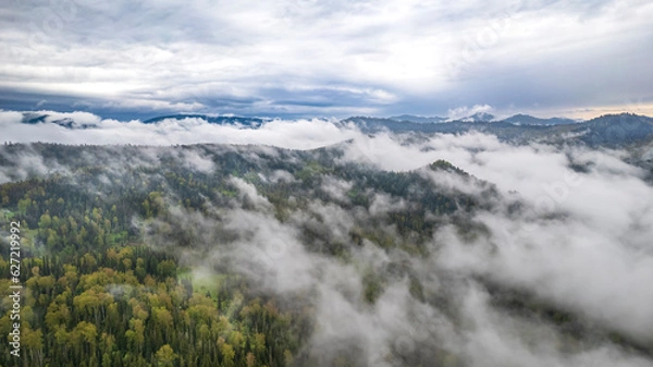 Obraz Fog over hills