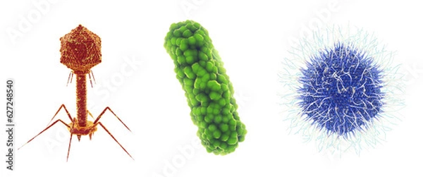 Obraz Bacteriophage virus, bacterium and Mimivirus. Set of microscopic germs that cause infectious diseases , isolated. Viral and bacterial particles