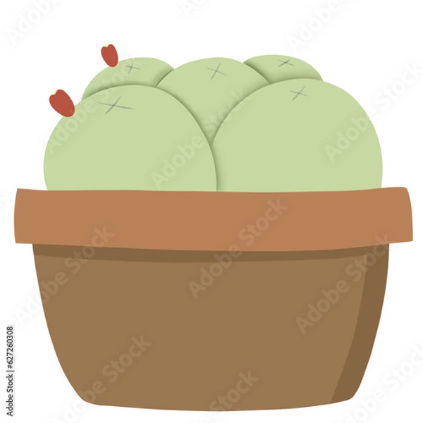 Fototapeta Cactus cartoon 