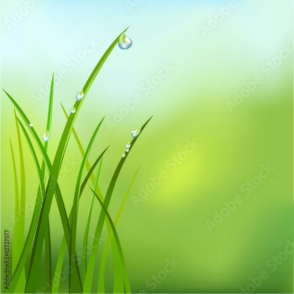 Obraz background with grass and dew