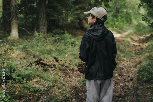 Fototapeta A boy with a wicker basket in his mouth. A child picks mushrooms alone in the forest. Soft selective focus