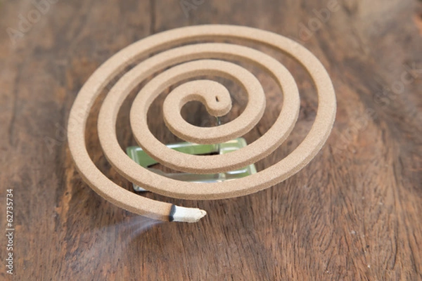Obraz Burning mosquito coil