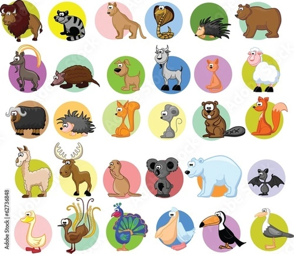 Fototapeta Набор различных животных и птиц