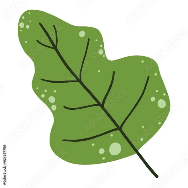 Obraz Leaf