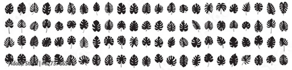 Fototapeta Set of leaf silhouette elements. Collection of monstera silhouettes on isolated background. Vector illustration
