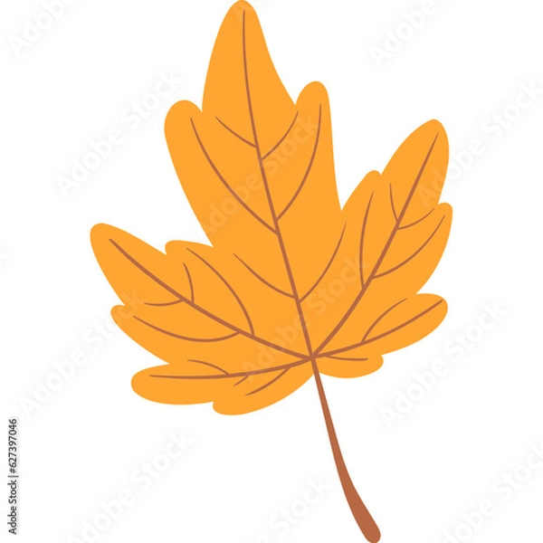 Fototapeta leaf maple