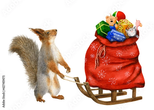 Fototapeta A funny anthropomorphic squirrel pulling a sled with a huge bag of Christmas gifts hand drawn in watercolor. Watercolor Christmas illustration. Isolated image