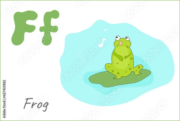 Fototapeta English beech F in the form of a frog