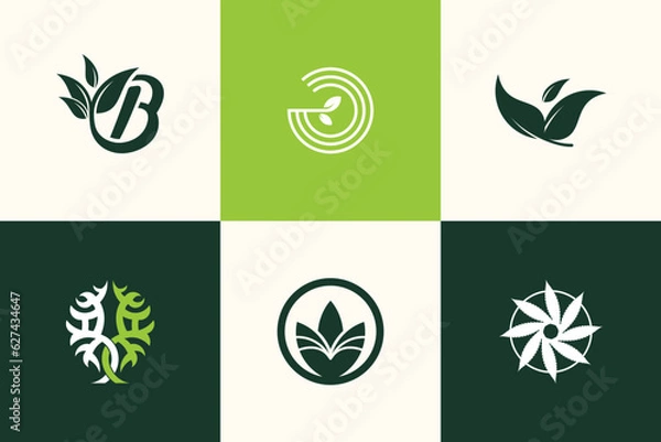 Fototapeta Nature logo design vector collection with creative unique element idea