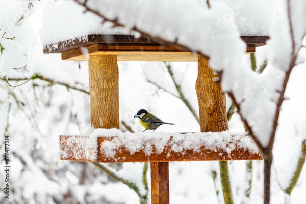 Obraz Futterhaus für Vögel