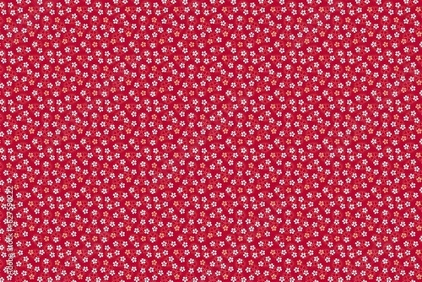 Fototapeta background, pattern, design, white, cute, vector, cartoon, animal, nature, blue, texture, 