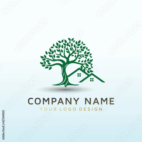 Obraz grow tree home vector logo design