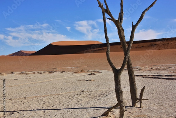Obraz Namib desert