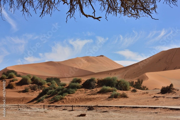 Obraz Namib desert