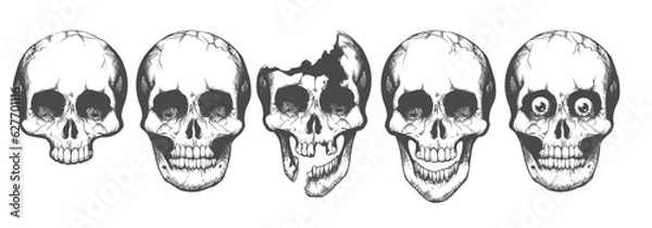 Obraz Human Skull Monochrome Tattoo Element Set