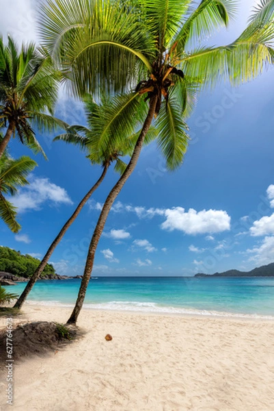 Fototapeta Sunny tropical white sand beach with coconut palm trees and turquoise sea. Summer vacation and tropical beach concept.