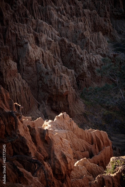 Obraz Sandstone Cliffs at Torrey Pines California