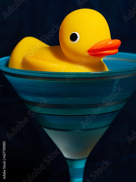 Obraz Ducky Photoshoot