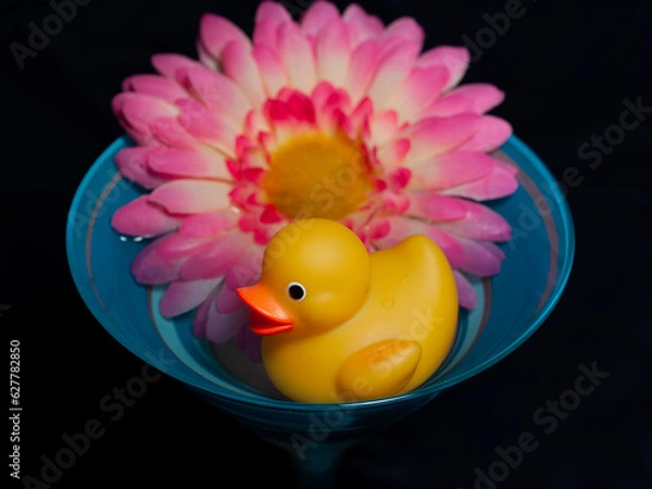 Obraz Ducky Photoshoot