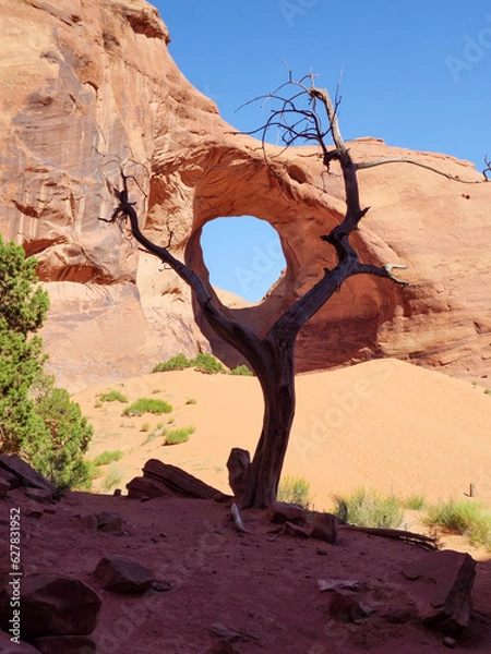 Fototapeta dry tree trunk in the middle of Monument Valley desert, with two branches silhouetted upwards. Background with navajo nature preserve rocks, with reddish and orange colors