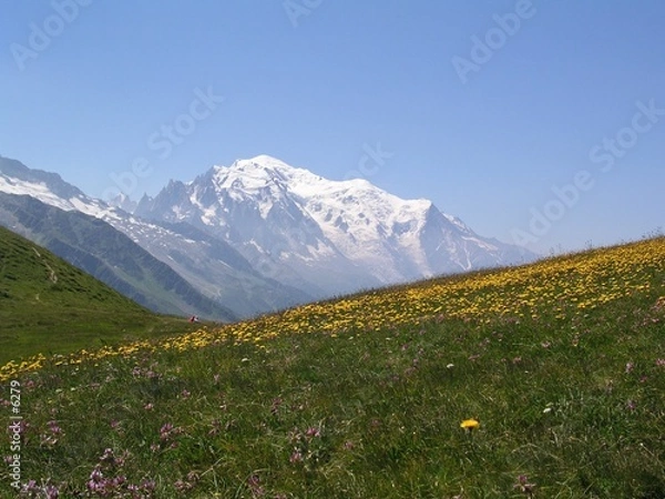 Obraz mont blanc